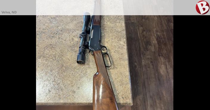 I have a rare BLR model 81 made in Japan rifle in .223 caliber in great ...