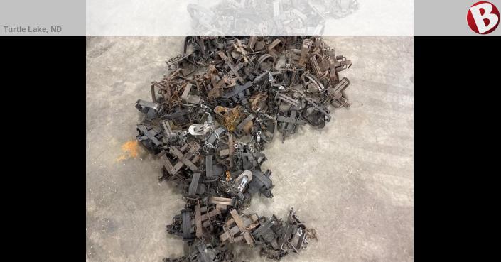 Mixed bunch of #1.5 to #3 coil spring traps. Various brands in various ...