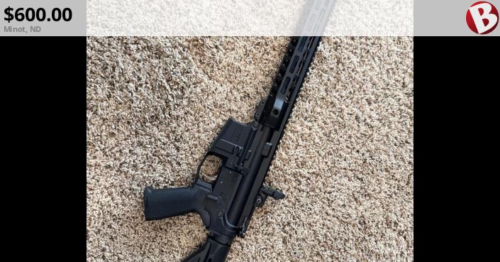 Palmetto 223 Kit Rifle | Minot, ND